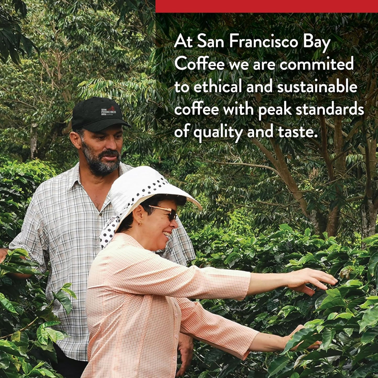 San Francisco Bay Compostable Coffee Pods - Breakfast Blend (80 Ct) K Cup Compatible including Keurig 2.0, Medium Roast