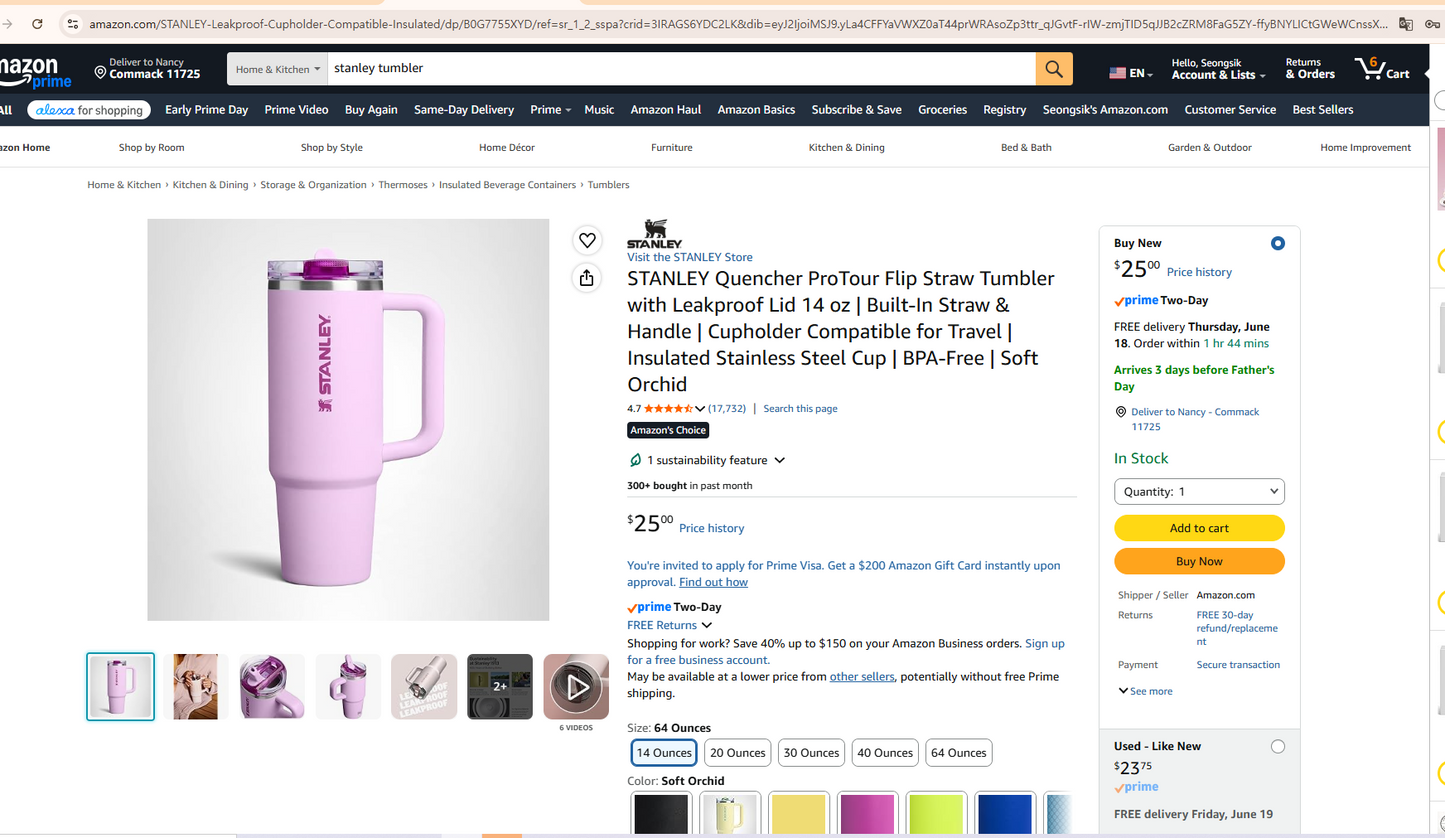 STANLEY Quencher ProTour Flip Straw Tumbler 14oz with Leakproof Lid, Built-In Straw & Handle, Cupholder Compatible (Soft Orchid)