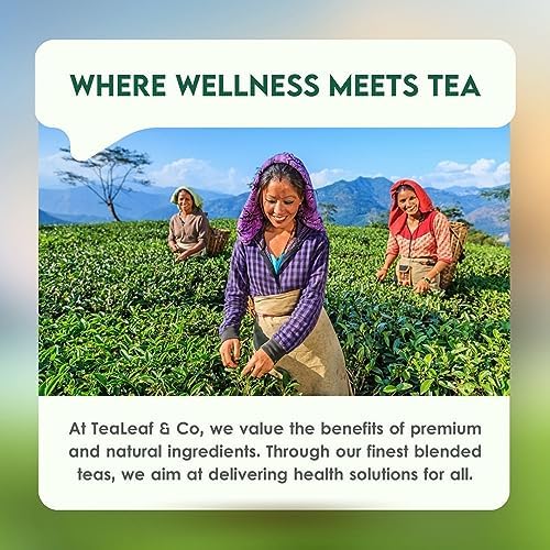 Tealeaf & Co. Mint Green Tea Bags Blended with Fresh Herbs - Spearmint & Peppermint Tea - Contains Low Caffeine - Gluten Free - 100 Teabags (7.055oz/200gm)