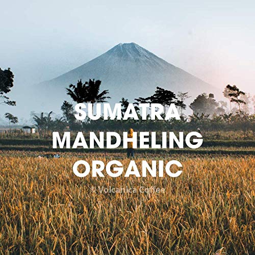 Sumatra Mandheling Coffee Beans, USDA Organic, Medium Roast, Ground, Fresh Roasted, 5 lbs