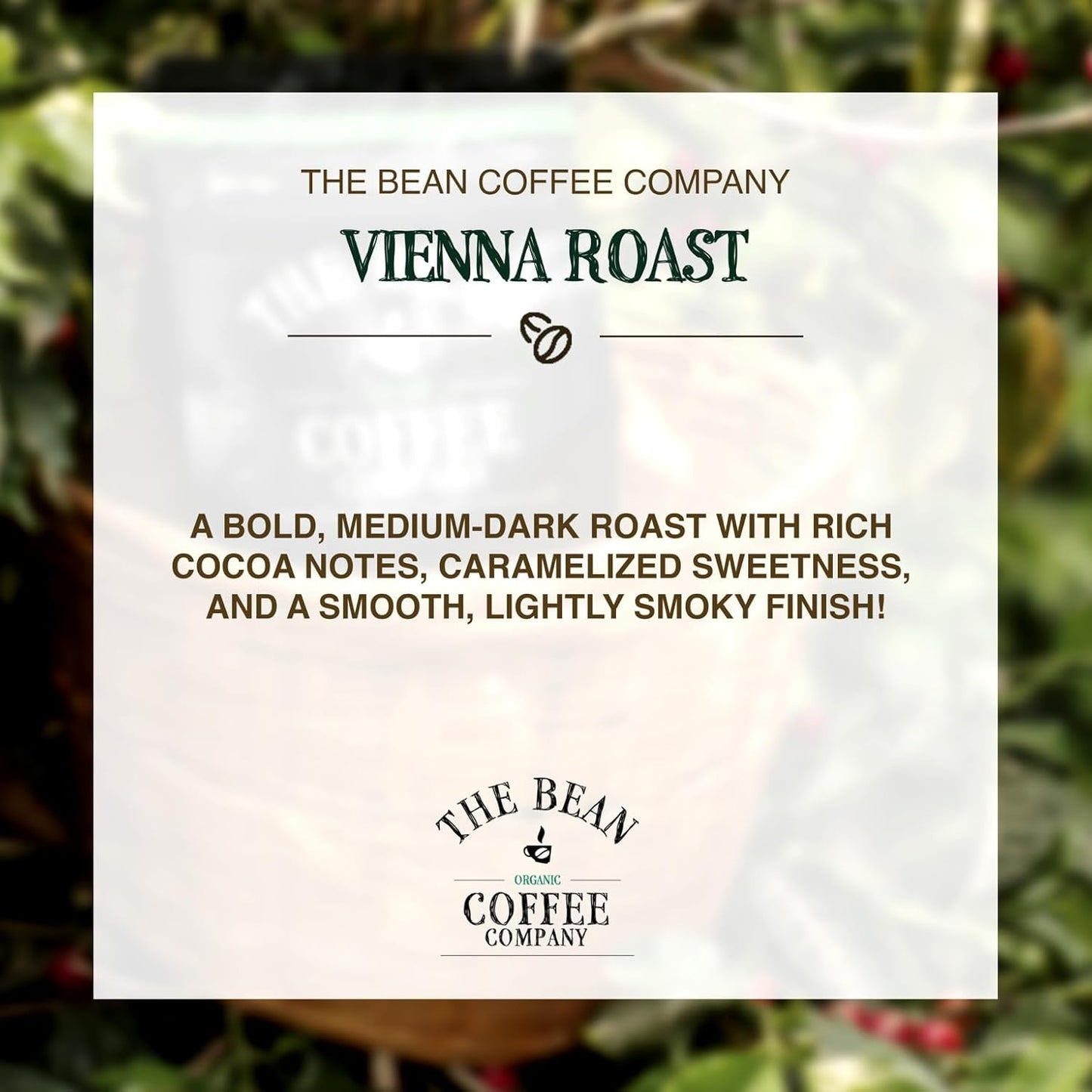 The Bean Organic Coffee Company Vienna Roast, Medium, Ground Coffee, 16-Ounce Bags (Pack of 2), Café molido tostado orgánico