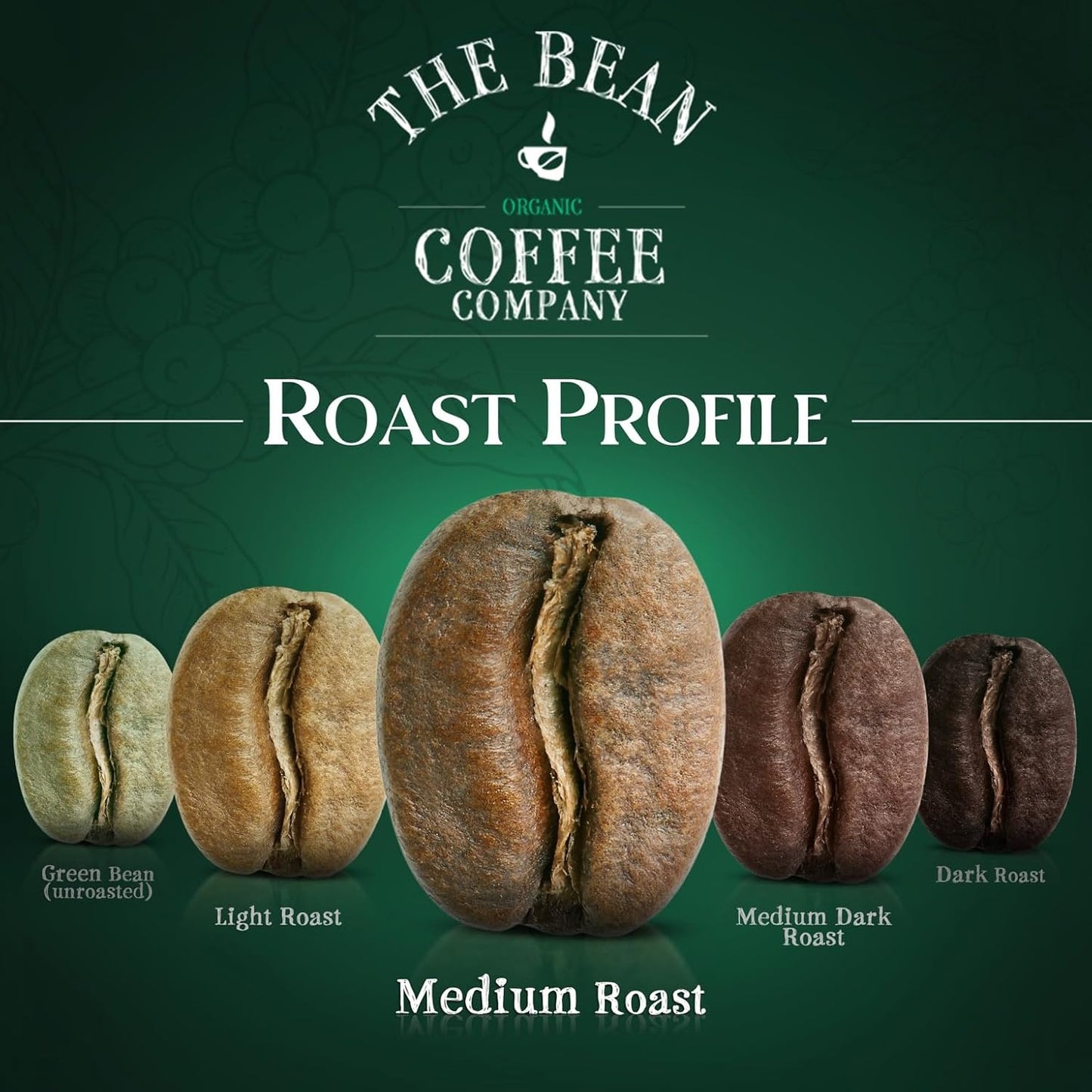 The Bean Organic Coffee Company House Blend, Medium Roast, Ground Coffee, 16-Ounce Bags (Pack of 2), Café molido tostado orgánico