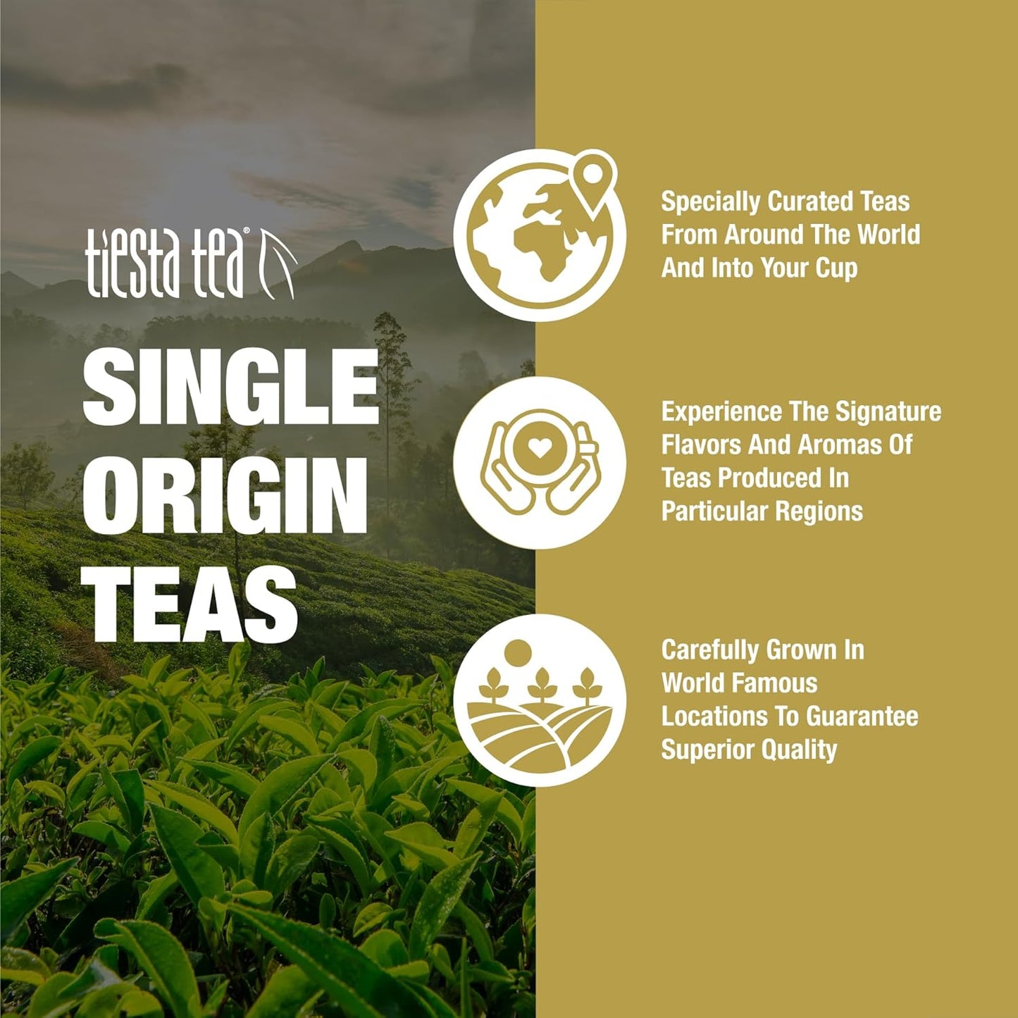 Tiesta Tea - Assam Black Tea, Loose Leaf, Single Origin Premium Black from India, High Caffeinated, Make Hot or Iced & Brews Up to 200 Cups, Pure Unblended, 16oz Resealable Bulk Pouch