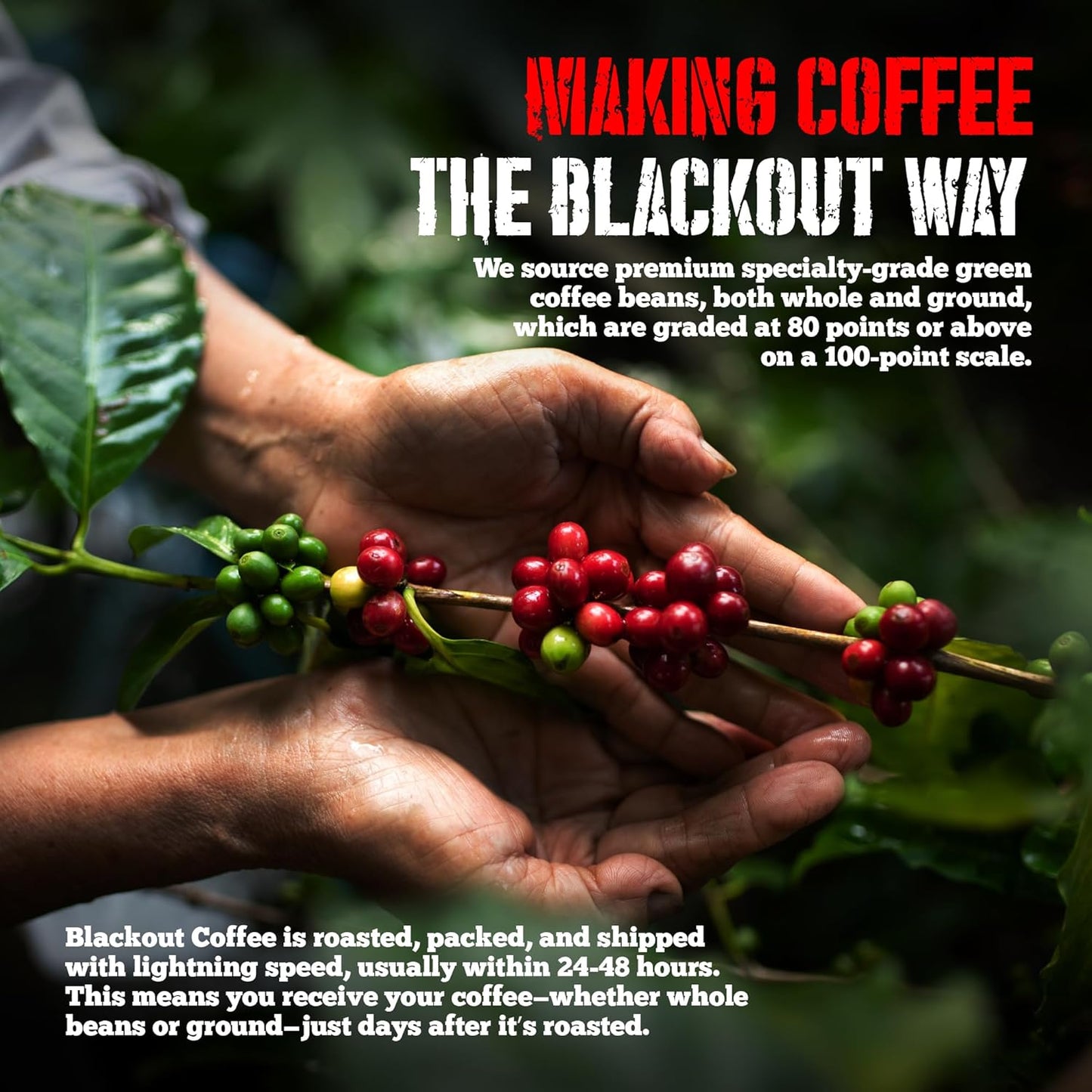 Blackout Coffee Butterscotch Toffee Flavored Medium Roast - Freshly Roasted in the USA - 12 oz Ground Coffee Pouch