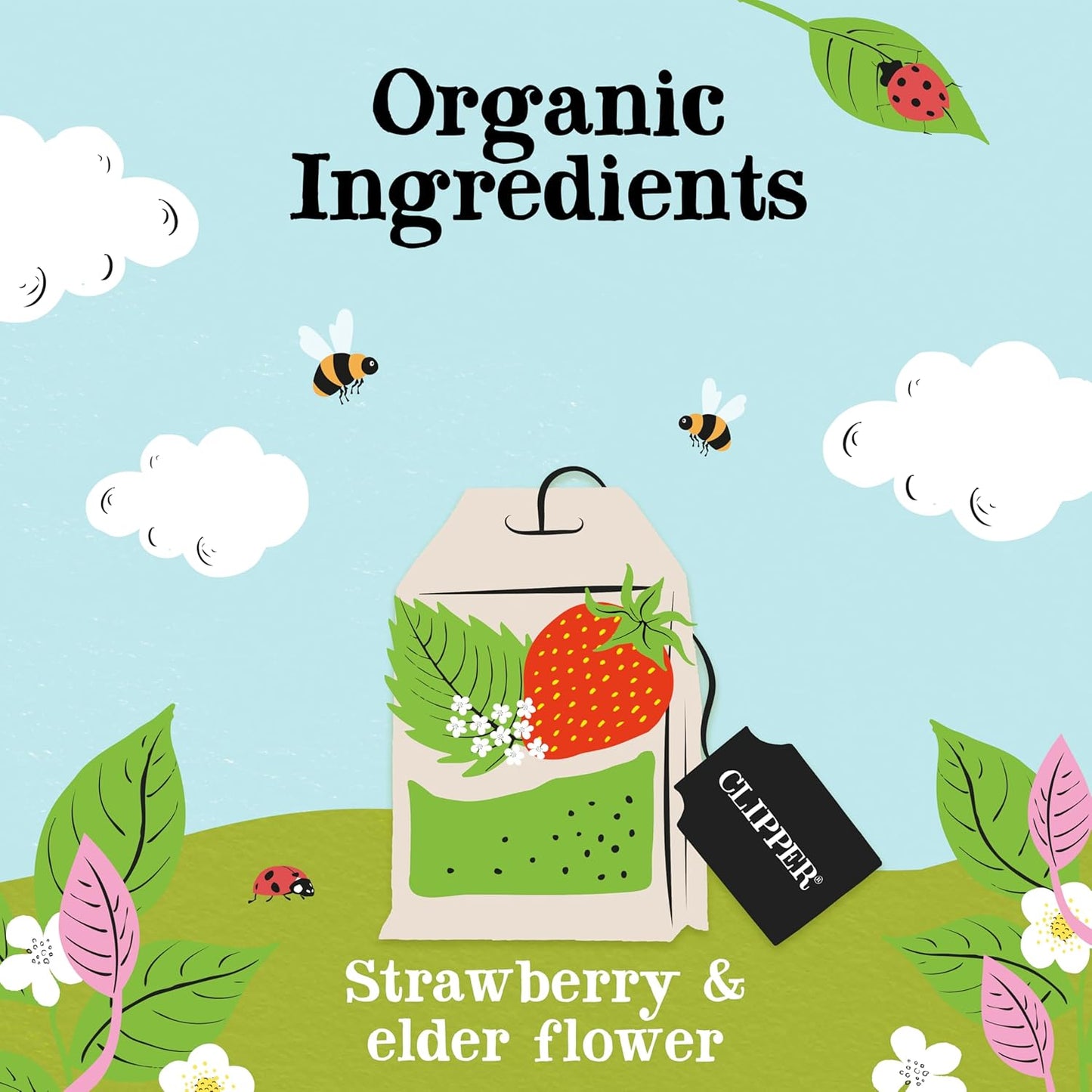 Clipper Tea Strawberry & Elderflower Herbal Tea – Caffeine Free, USDA Organic, Great Hot or Iced – Refreshingly Fruity, Natural, Fair & Delicious – 50 Tea Bags